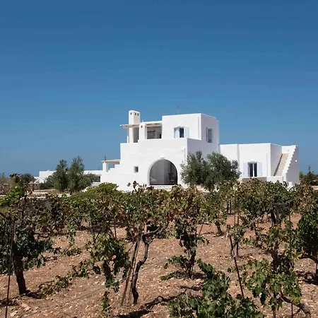 Filisea Holiday home Naousa (Paros)